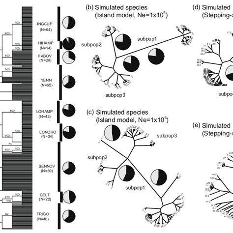 Tree Topologies Of Both Real A And Simulated B C D And E Species