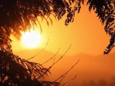 Excessive Heat Warning Issued For San Diego County Deserts