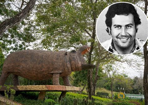 Pablo Escobar’s Dark Billionaire Tale: Rethinking His $300 Million Net Worth - Veja Store Site