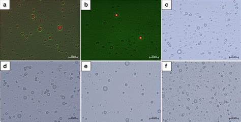 Fluorescence microscopy of a Pickering emulsion and b traditional ...