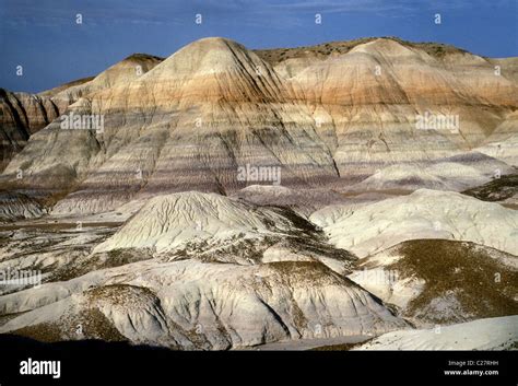 Blue Mesa Badlands Blue Mesa Badlands Petrified Forest National Park