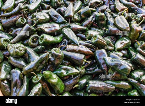 Poblano Peppers Hi Res Stock Photography And Images Alamy