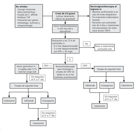 Qu Es La Colitis Ulcerosa S Ntomas Causas Y C Mo Tratar La Enfermedad