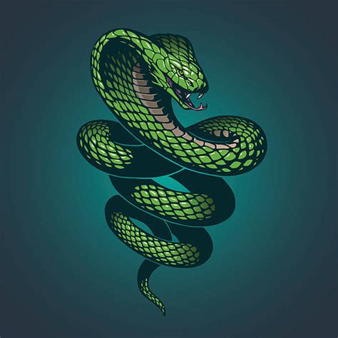 Viper Illustrations Royalty Free Vector Graphics And Clip Art Istock