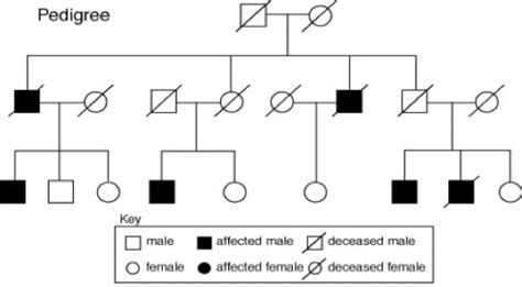 Patterns of Inheritance - Genetics Generation