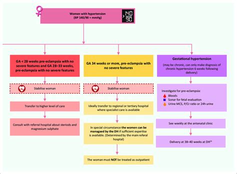 Management Of Patients With Hypertensive Disorders In Pregnancy Download Scientific Diagram