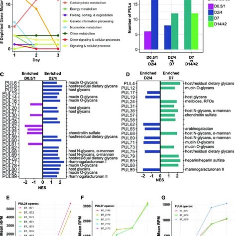 A Shift Toward Greater Expression Of Diverse Sugar Metabolism Genes