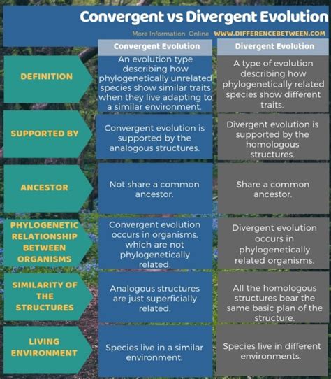 Convergent Evolution Vs Divergent Evolution