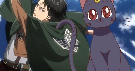 Attack On Titan Teaches Levi The Joys Of Owning A Cat In New Promo