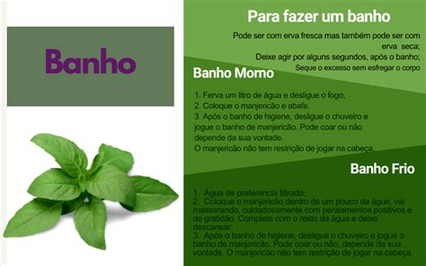 A Brochure With Green Leaves And The Words Banho Written In Spanish On It