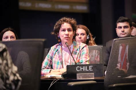 Histórico Cop27 Aprueba La Creación De Un Fondo Especial Para Pérdidas Y Daños Gobcl