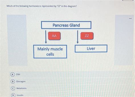 Solved Which Of The Following Hormones Is Represented By ZZ In