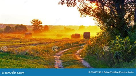 Sunset Over The Fields And Straw Stock Photo Image Of Harvest