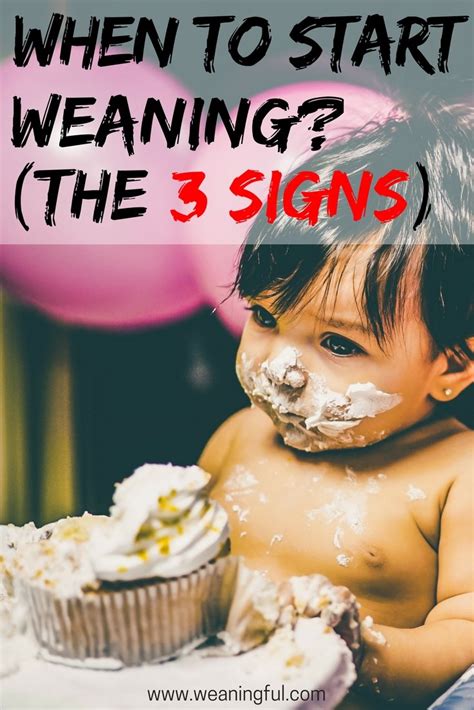 The 3 weaning signs that show baby is ready for solids