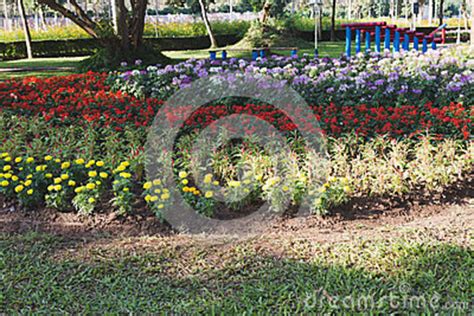 Pelouse Et Parterre Dans Le Jardin Parc De Fleur De Ressort Photo