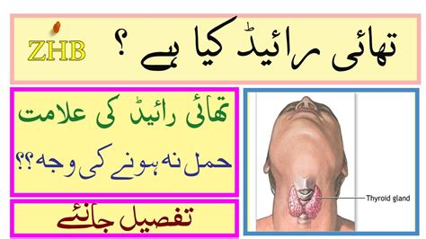 Thyroid Symptoms And Thyroid Problems In Women Urdu Hindi Youtube