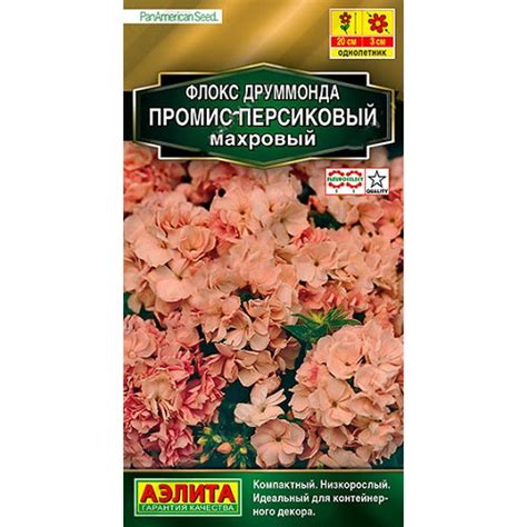 Флокс Друммонда Промис Персиковый махровый купить с доставкой в ...