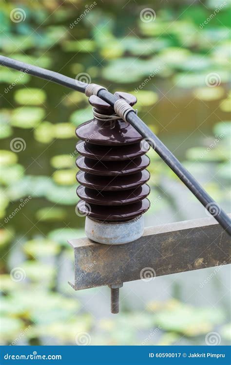 Electrical Insulator Stock Image Image Of Network Industrial 60590017