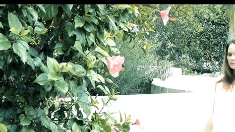 Vintage Porn Videos XHamster