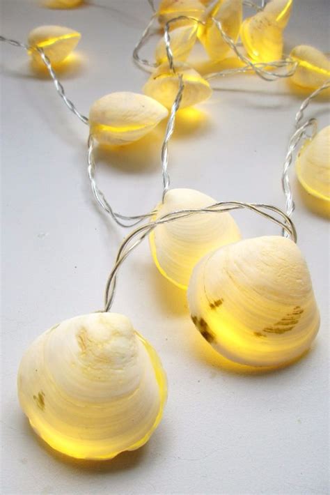 15 Wonderful DIY Seashell Decor Ideas You Can Make This Summer