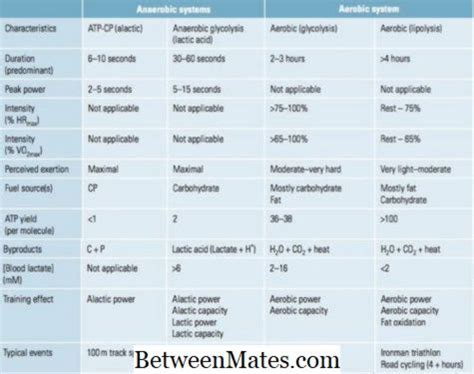 Unterschied Zwischen Aerober Und Anaerober Glykolyse Unterschied