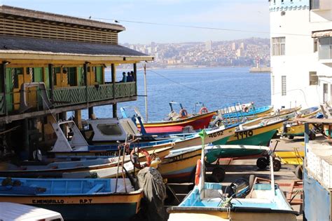 Vuelve La Fogata Del Pescador En Caleta El Membrillo