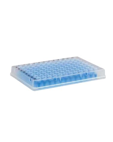 Microplaca de PCR Borda 96 Poços Kasvi ForlabExpress