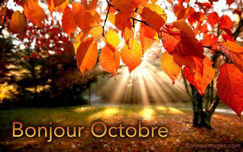 Octobre Images Photos Et Illustrations Gratuites Pour Facebook