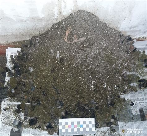 Майже 2 кілограми канабісу вилучила поліція у мешканця Турбівської ...