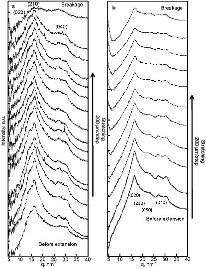 One Dimensional Waxs Profiles Derived From The D Waxs Patterns Of A