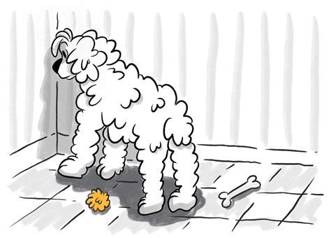 how to know if your dog has dementia