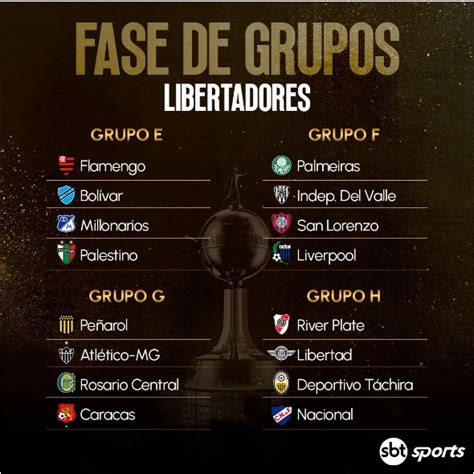 Veja como ficaram os grupos da Copa Libertadores 2024 V9 TV Uberlândia