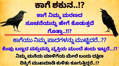 Revealing The Secrets Of Useful Information In Kannada