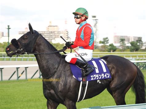 エグランタイン 秋華賞 2022阪神 サビ猫メモ