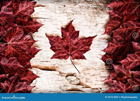 Canada Flag Leaf Meaning