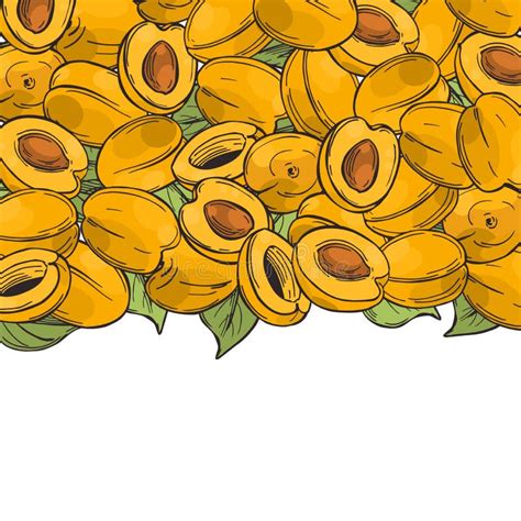 Fundo Do Vetor Os Vegetais Tirados M o Ilustração do Vetor