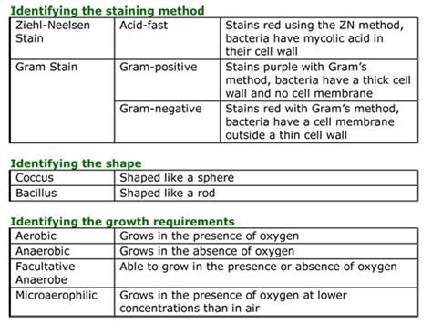 Basic Bacterial Identification Microbiology Teaching Resource