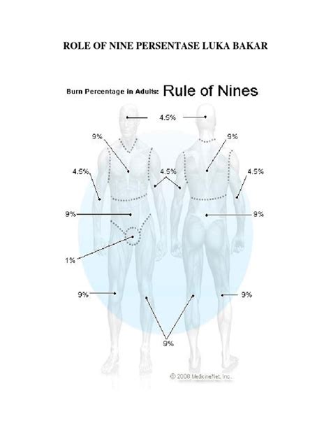 Rule of Nine | PDF