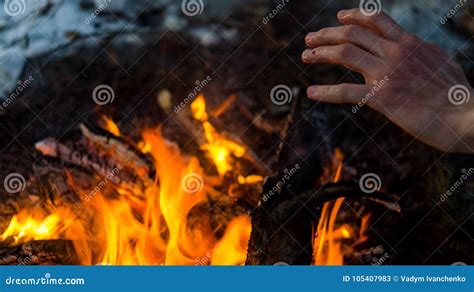 The Adult Man Warms Hands Around The Campfire In Forest Stock Image