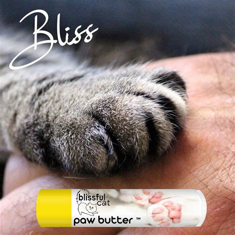 Dog Cat Anti Cracking Paw Care Cream Ph