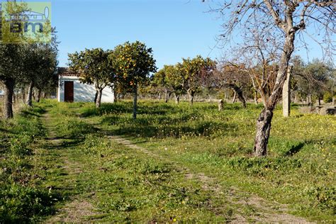 Quinta Para Venda Em Castelo Branco Casaexpress Pt