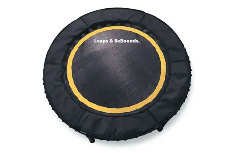 Leaps & ReBounds Bungee Rebounder (Detailed Review)