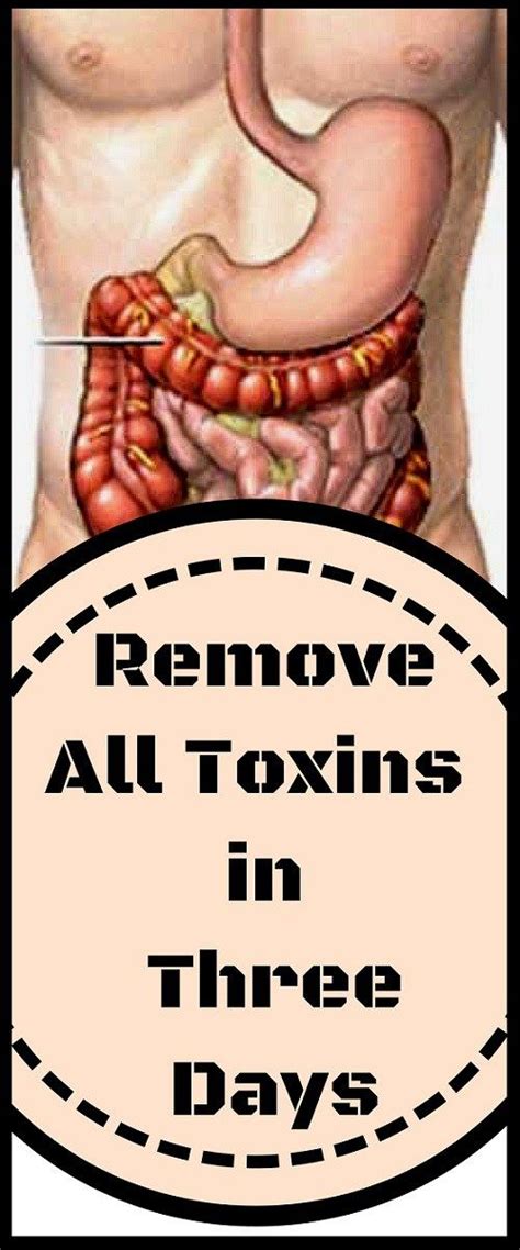 Remove All Toxins From The Body And Soul In Three Days Cancer