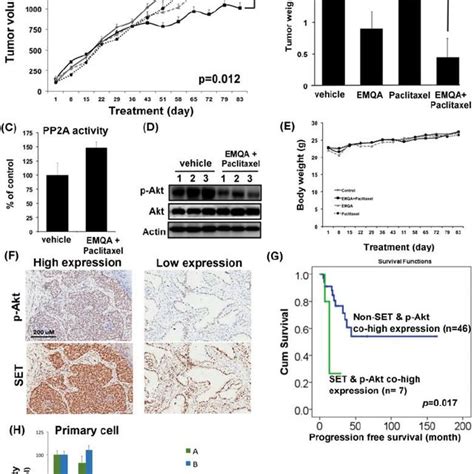 Emqa Reactivates Pp2a In Nsclc Cells By Disrupting The Set Pp2ac