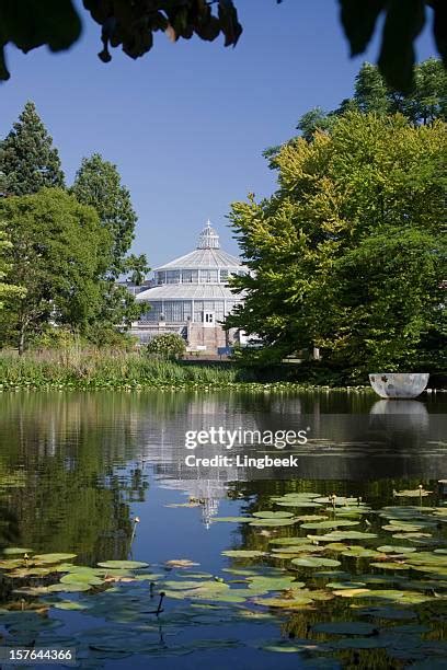 172 Copenhagen Botanical Garden Stock Photos, High-Res Pictures, and ...