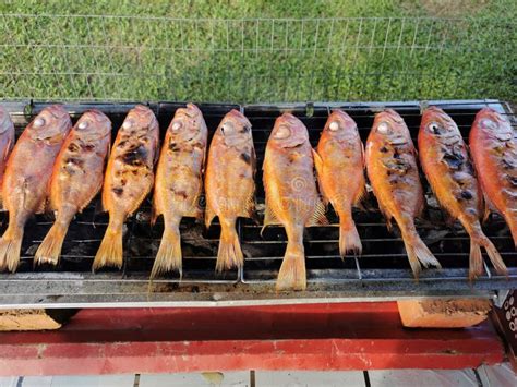 Churrasco De Peixe Grelhado Na Grelha Imagem De Stock Editorial