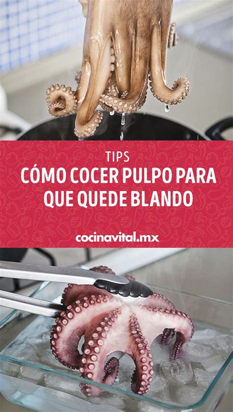 C Mo Cocer Pulpo Para Que Quede Blando Paso A Paso Receta Como