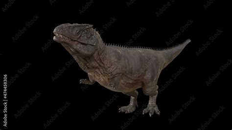 Hybrid Giganotosaurus Cinematic roar animation of background, 3d rendering Stock Illustration ...