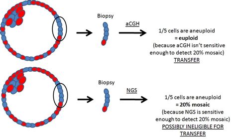 Complete Guide To Pgs Testing Pgt A In Ivf For Embryo Screening