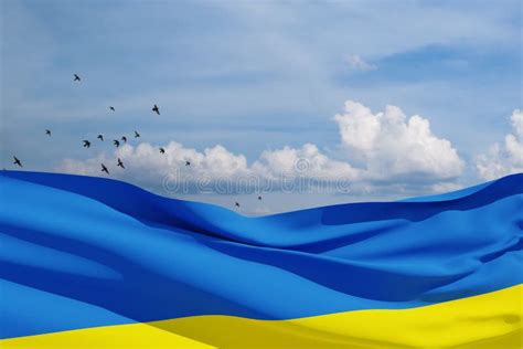 Ukraine Flag On The Blue Sky With Bird Close Up Waving Flag Of Ukraine